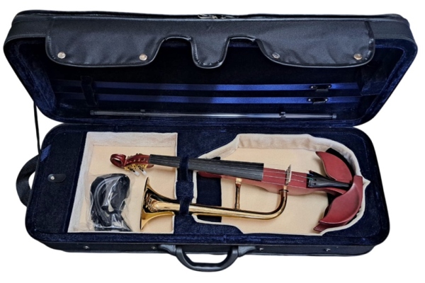 Hora Reghin Cutie vioara cu goarna