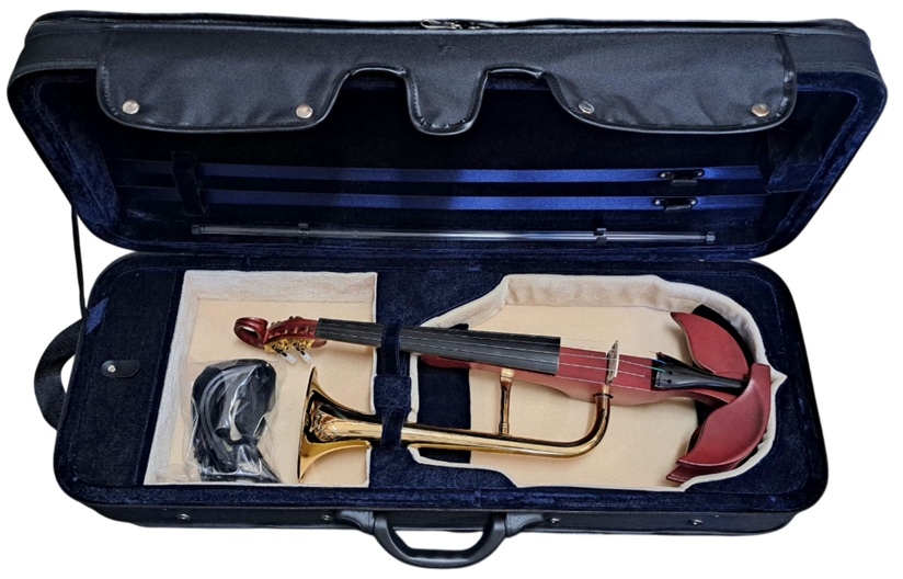 Hora Reghin Cutie vioara cu goarna