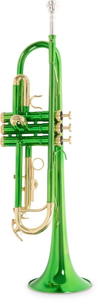 Roy Benson TR-101E Student