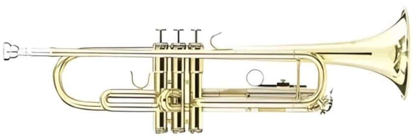 Parrot 6420 A