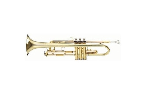 Parrot 6416 L Trumpet