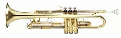 Parrot 6416 L Trumpet