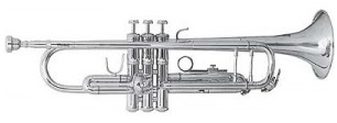 Parrot 6416S Trumpet