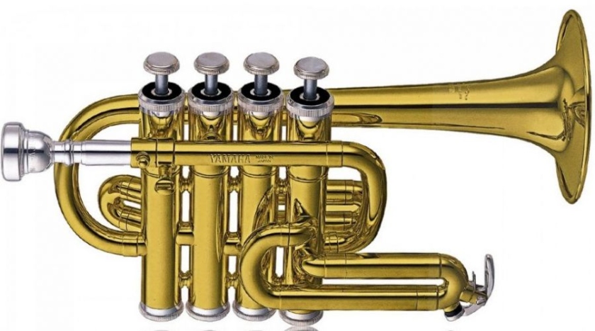 Yamaha YTR-6810 Piccolo