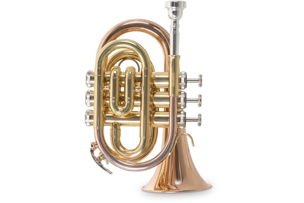  Bb Roy Benson PT-101G 