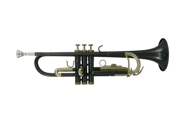 Roy Benson TR-101K Student