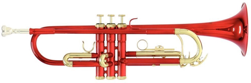 Roy Benson TR-101R Student