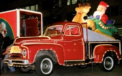 Tub flexibil pentru iluminat decorativ Eurolite RUBBERLIGHT RL1-230V red 44m