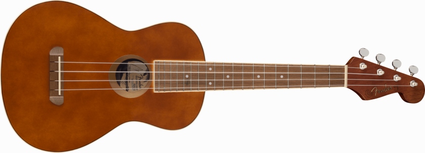 Fender Avalon Tenor WN Natural