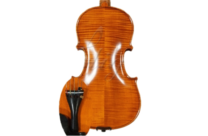 Vioară 4/4 cu 5 corzi Gliga Vioara 4/4 Gliga (maestru) cu 5 corzi