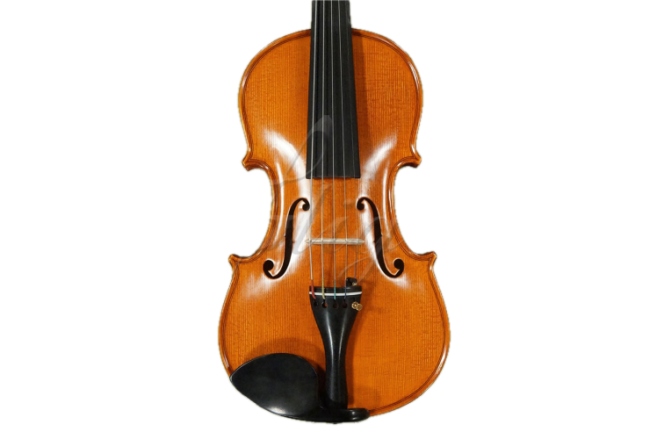 Vioară 4/4 cu 5 corzi Gliga Vioara 4/4 Gliga (maestru) cu 5 corzi