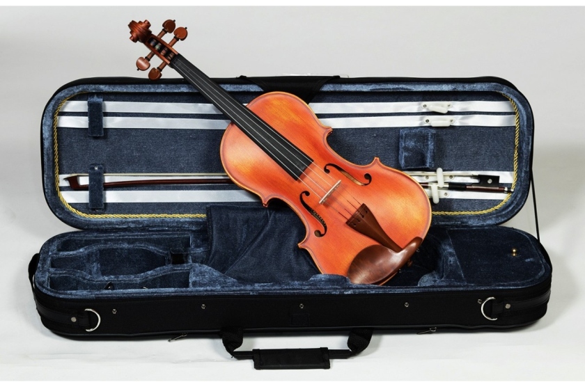 Karl Hoffmeister MV100 Conservatory