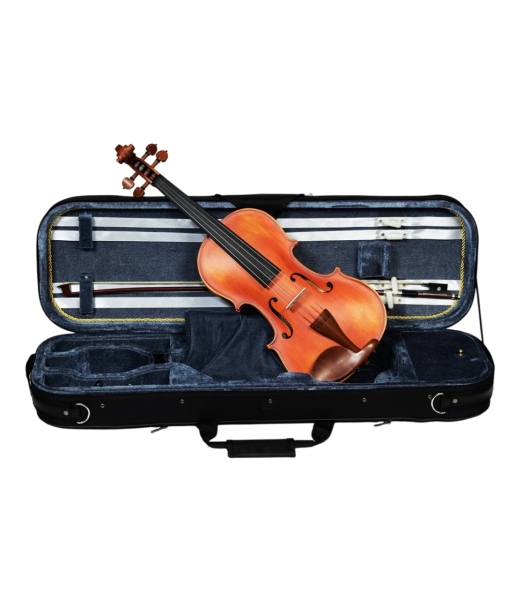 Karl Hoffmeister MV100 Conservatory