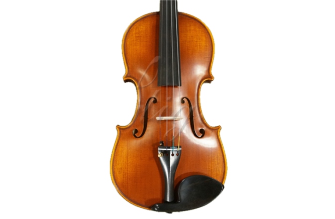 Vioară 4 / 4 stângaci Gliga Vioara 4/4 Gama (profesional), stangaci