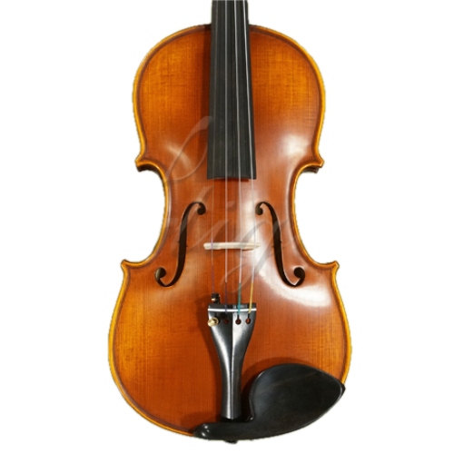 Gliga Vioara 4/4 Gama (profesional), stangaci