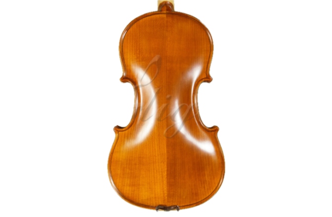 Vioară 4 / 4 stângaci Gliga Vioara 4/4 Genial 1 (scoala), stangaci
