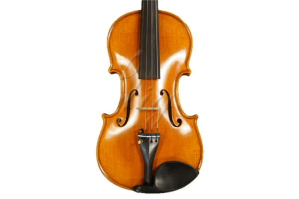 Vioara 4/4 Gliga (maestru) , stangaci