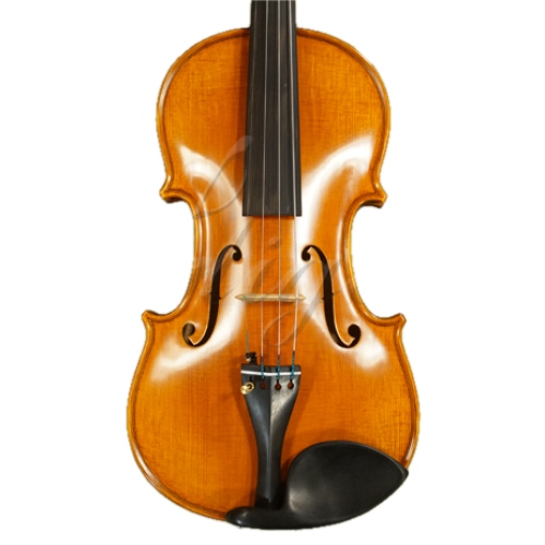 Gliga Vioara 4/4 Gliga (maestru) , stangaci