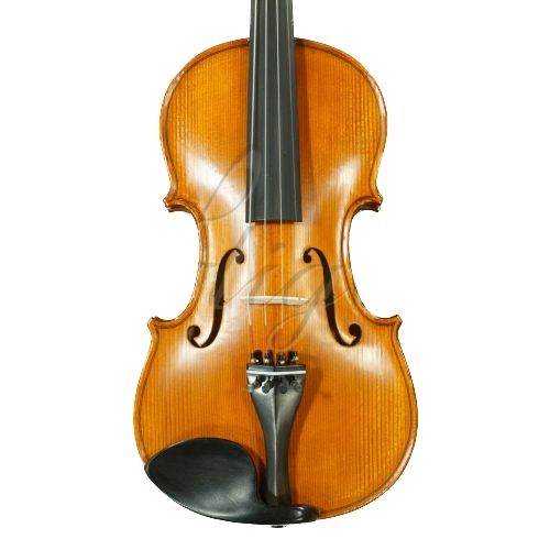 Gliga Vioara 1/4 Genial 1 (scoala)