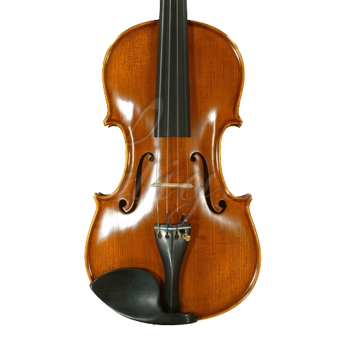 Gliga Vioara 3/4 Gama (profesional), spate intreg