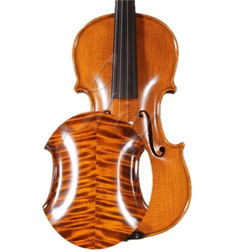 Gliga 4/4 Gliga Extra (maestru) (an 2014-03.12)