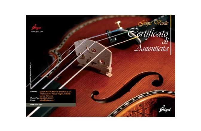 Vioară acustică 4/4 Gliga  4/4 Gliga Extra (maestru) (an 2014-03.12)