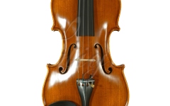 Vioară acustică 4/4 Gliga Vioara 4/4 Gama (profesional), spate intreg