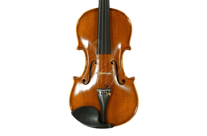 Vioară acustică 4/4 Gliga Vioara 4/4 Gama (profesional), spate intreg