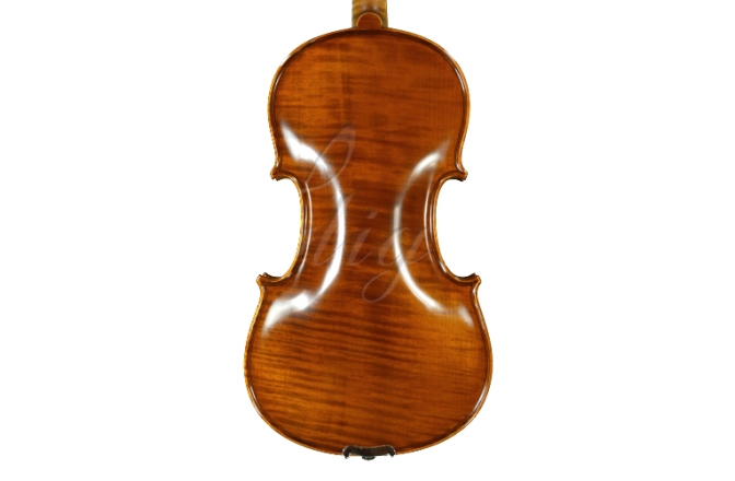 Vioară acustică 4/4 Gliga Vioara 4/4 Gama (profesional), spate intreg
