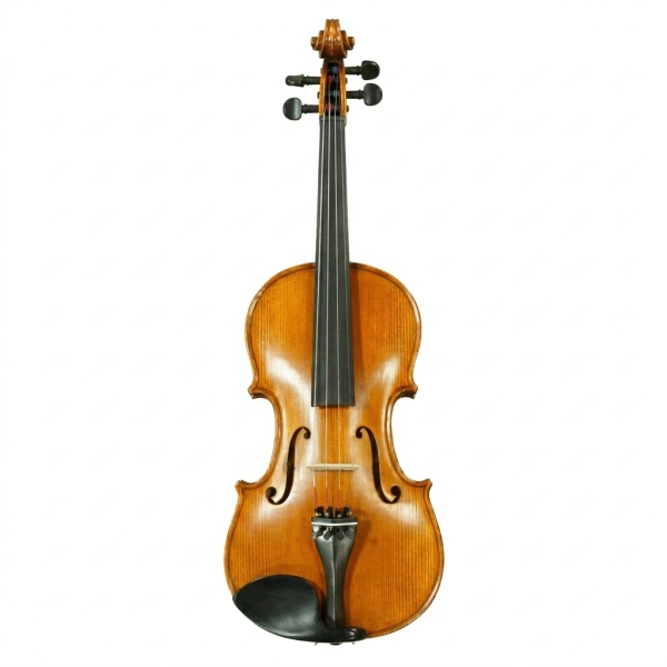 Gliga Vioara 4/4 Genial 1 (scoala)