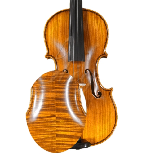 Gliga Vioara 4/4 Gliga Extra (maestru) (an 2000-03.16)