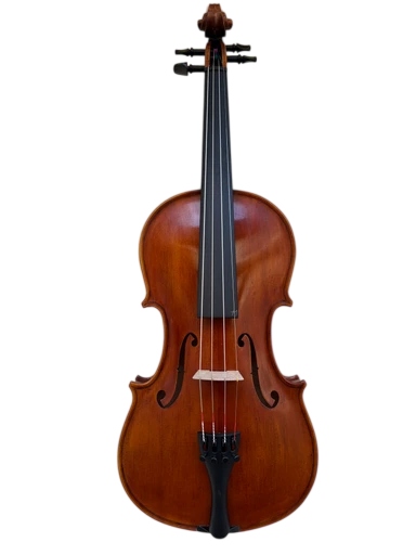 Lutier Ioan Bucur Vioară Model Nr. 11