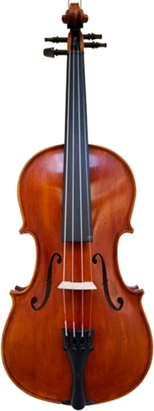 Lutier Ioan Bucur Vioară Model Nr. 11
