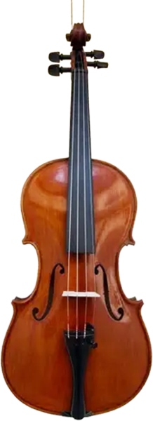 Lutier Ioan Bucur Vioară Model Nr. 13