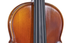 Vioara acustică Gewa Maestro 1 1/2