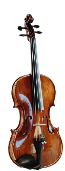 Hora Reghin Academy ''Ochi de pasăre''