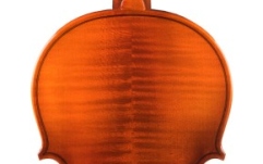 Vioara acustica Hora Reghin Avansat Elite Ulei 3/4