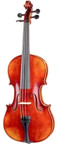 Gewa Maestro 6 Ready to play