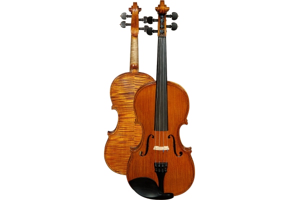 V401 Maestru