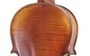 Vioară profesională 4/4 Gewa Violin Maestro 2 VL4 Set