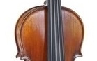 Vioară profesională 4/4 Gewa Violin Maestro 2 VL4 Set