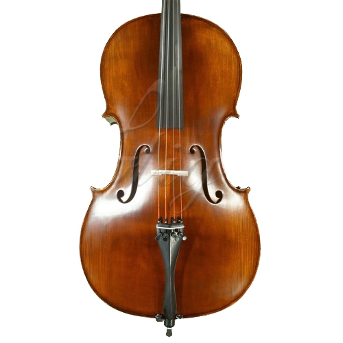 Gliga Violoncel 1/2 Gems 2 (student) antic special