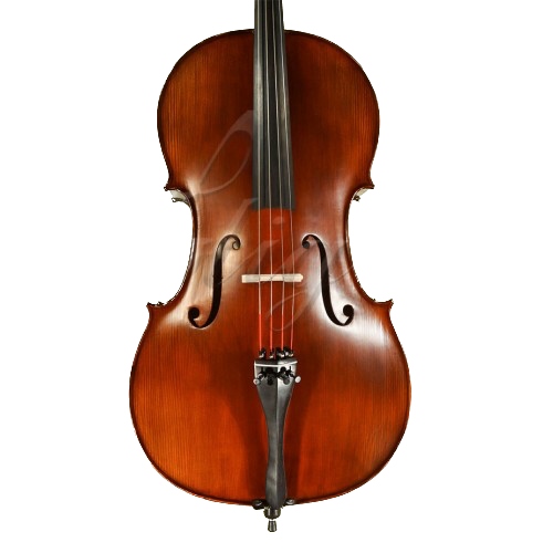 Gliga Violoncel 4/4 Gems 1 (student avansat) antic special