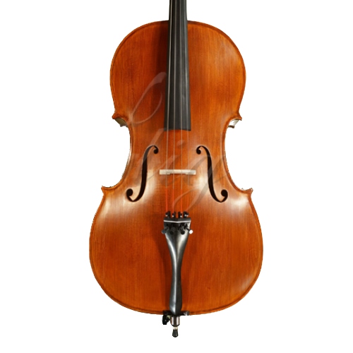 Gliga Violoncel 4/4 Gems 1 (student avansat)
