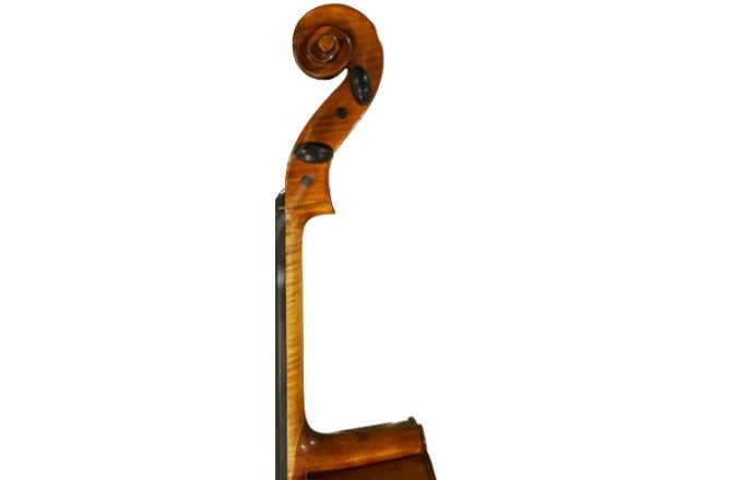 Violoncel 4/4 Gliga Violoncel 4/4 Gems 2 (student)