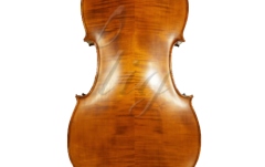 Violoncel 4/4 Gliga Violoncel 4/4 Gems 2 (student)
