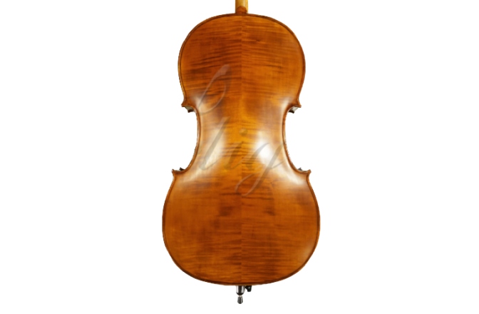 Violoncel 4/4 Gliga Violoncel 4/4 Gems 2 (student)