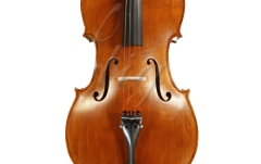 Violoncel 4/4 Gliga Violoncel 4/4 Gems 2 (student)