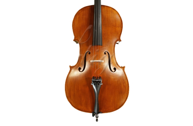 Violoncel 4/4 Gliga Violoncel 4/4 Gems 2 (student)