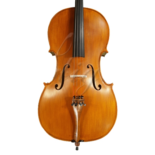 Gliga Violoncel 4/4 Gloria 1 (student)
